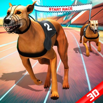 Crazy Dog Racing Fever — Free Online Game